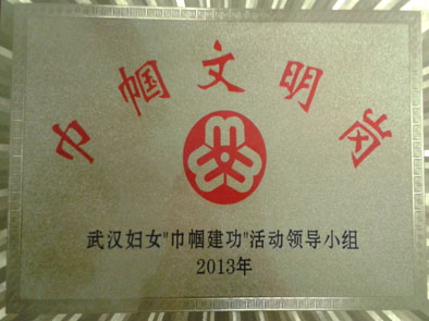 9游会官方网站荣获2013年度武汉市巾帼文明岗单位