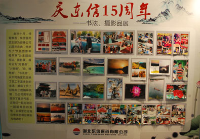 “文化剪影 幸福共享”——庆9游会官方网站15周年书法、摄影展