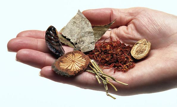 药品注册变革，中药迎大利好！