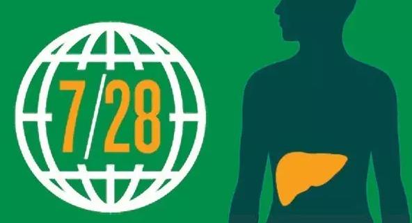 2015国内肝炎用药市场超400亿元：护肝药为领先品类，占比1/...