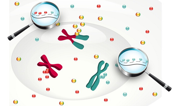 医药产业关键词：创新与规范