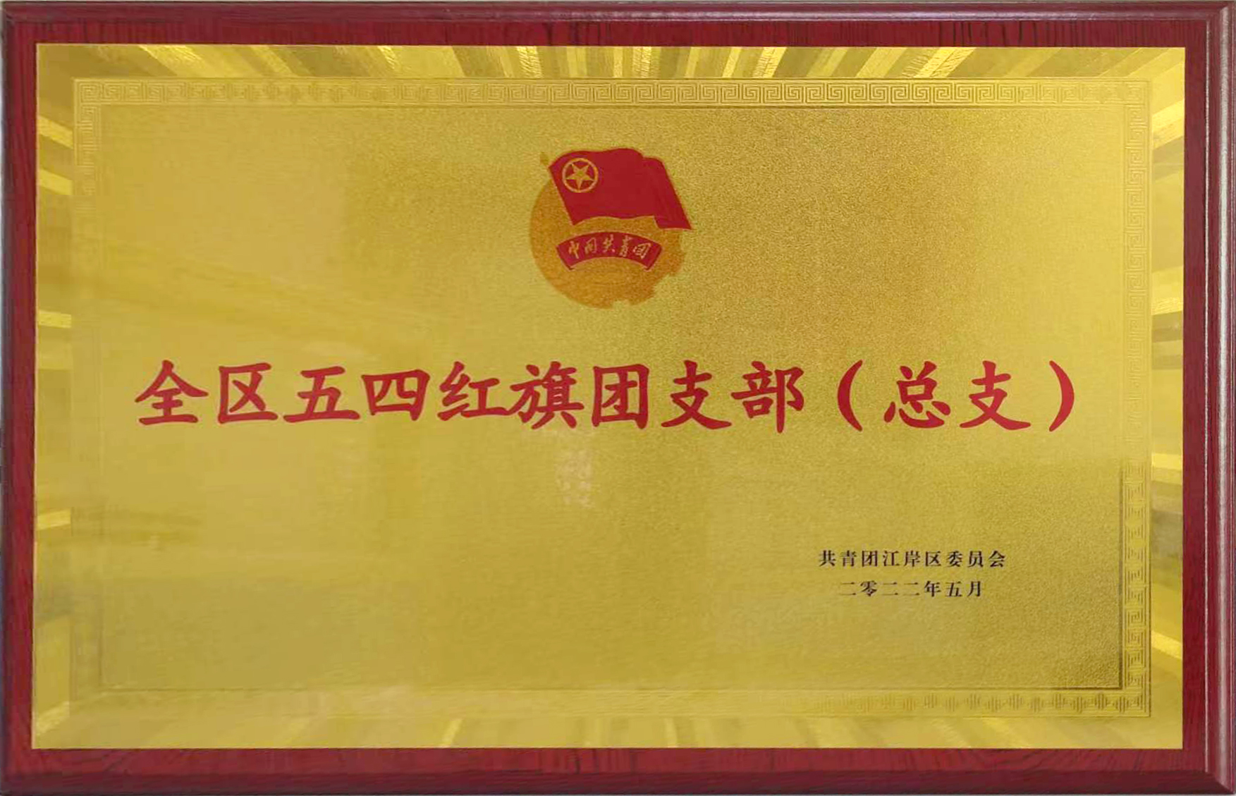 共青团成立100周年之际，9游会官方网站医药团支部喜获武汉市江岸区“全区五...